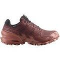 Chaussures Salomon Speedcross 6 Gtx Gore-tex