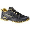 Running sur Grenoble : Chaussures La Sportiva La Bushido Iii 2024