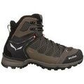 Randonn&eacute;e sur Grenoble : Chaussures Salewa Mtn Trainer Lite Mid Gtx multicolor