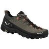 Chaussures Salewa Alp Trainer 2 multicolor