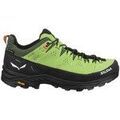 Randonn&eacute;e sur Grenoble : Chaussures Salewa Alp Trainer 2 Gtx multicolor