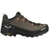 Chaussures Salewa Alp Trainer 2 Gtx multicolor