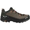Randonn&eacute;e sur Grenoble : Chaussures Salewa Alp Trainer 2 Gtx multicolor