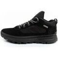 Randonn&eacute;e sur Grenoble : Chaussures Timberland Field Noir