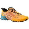 Randonn&eacute;e sur Grenoble : Chaussures La Sportiva La Bushido Iii Gtx multicolor