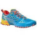 Randonn&eacute;e sur Grenoble : Chaussures La Sportiva La Bushido Iii Gtx multicolor