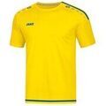 Tee-shirts sur Grenoble : T-shirt Jako Striker 2.0 Ka