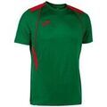 Tee-shirts sur Grenoble : T-shirt Joma Championship Vii
