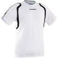 Tee-shirts sur Grenoble : T-shirt Salming Rex Game