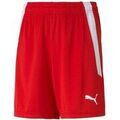 Pantalons enfants sur Grenoble : Pantalon enfant Puma Teamliga