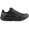 Running sur Grenoble : Chaussures Salomon Thundercross Gtx