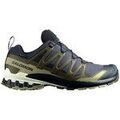 Running sur Grenoble : Chaussures Salomon Xa Pro 3d V9 Gtx