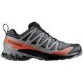 Running sur Grenoble : Chaussures Salomon Xa Pro 3d V9 Gtx