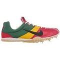 Chaussures Nike Zoom Miler Grenoble