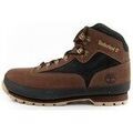 Randonn&eacute;e sur Grenoble : Chaussures Timberland TB0A5ZJ5968 Marron