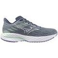 Running sur Grenoble : Chaussures Mizuno Wave Inspire 21