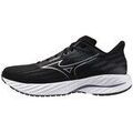 Running sur Grenoble : Chaussures Mizuno Wave Inspire 21
