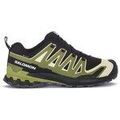 Randonn&eacute;e sur Grenoble : Chaussures Salomon Xa Pro 3d V9 Gtx multicolor