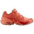 Chaussures Salomon Speedcross 6