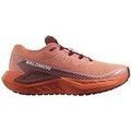 Running sur Grenoble : Chaussures Salomon Drx Defy Grvl