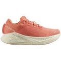 Running sur Grenoble : Chaussures Salomon Aero Glide 3