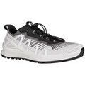 Running sur Grenoble : Chaussures Lowa Merger