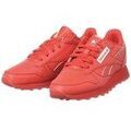 Ville basse Reebok Sport HR0660