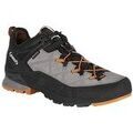 Randonn&eacute;e sur Grenoble : Chaussures Aku Rock Dfs multicolor