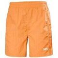 Jeans/Pantalons sur Grenoble : Pantalon Helly Hansen Calshot Trunk