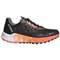 Running sur Grenoble : Chaussures adidas Terrex Agravic Flow 2.0 Gtx