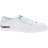 Ville basse Tommy Hilfiger FM0FM05399YBS