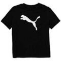 Tee-shirts enfants sur Grenoble : T-shirt enfant Puma 68490701