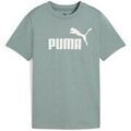 Tee-shirts enfants sur Grenoble : T-shirt enfant Puma No. 1