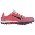 Running sur Grenoble : Chaussures Nike Zoom