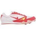 Running sur Grenoble : Chaussures Nike Zoom