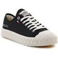 Ville basse Palladium Palla Ace Cvs Org
