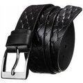 Ceintures sur Grenoble : Ceinture Peterson rovicky1949820
