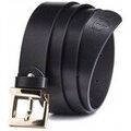 Ceintures sur Grenoble : Ceinture Peterson PTNSSZ5100
