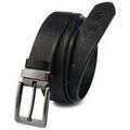 Ceintures sur Grenoble : Ceinture Beltimore a5795