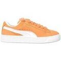Ville basse Puma 39520520