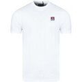 Tee-shirts sur Grenoble : T-shirt Diesel A17135RPHIX100