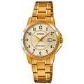 Hommes sur Grenoble : Montre Casio ty153570