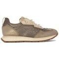 Baskets femme sur Grenoble : Baskets basses Hispanitas HI254209C005