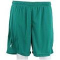 Shorts/Bermuda sur Grenoble : Short Australian TEUSH0005913