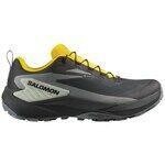 Chaussures Salomon Genesis