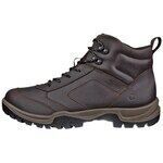Chaussures Ecco Xpedition Iii Marron