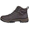 Chaussures Ecco Xpedition Iii Marron Grenoble