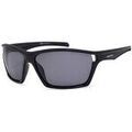 Lunettes sur Grenoble : Lunettes de soleil Arctica S358