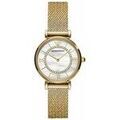 Montre Emporio Armani AR11321