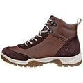 Randonn&eacute;e sur Grenoble : Chaussures Ecco Xpedition Iii multicolor